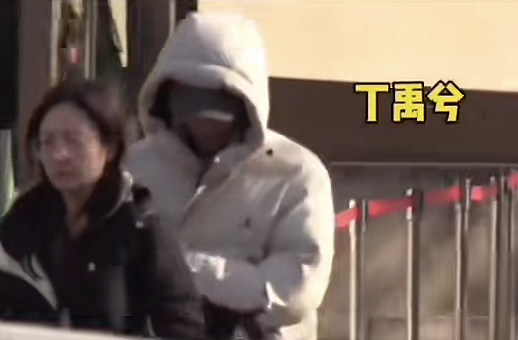丁禹兮