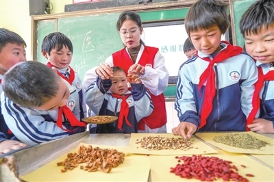 豐城：中藥文化進校園（圖）