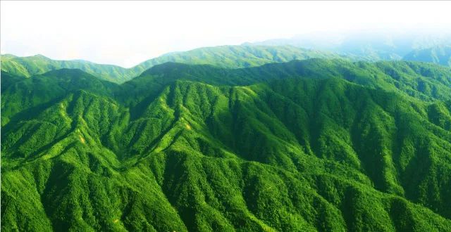 湘林碳票，助力湖南林业碳汇开发