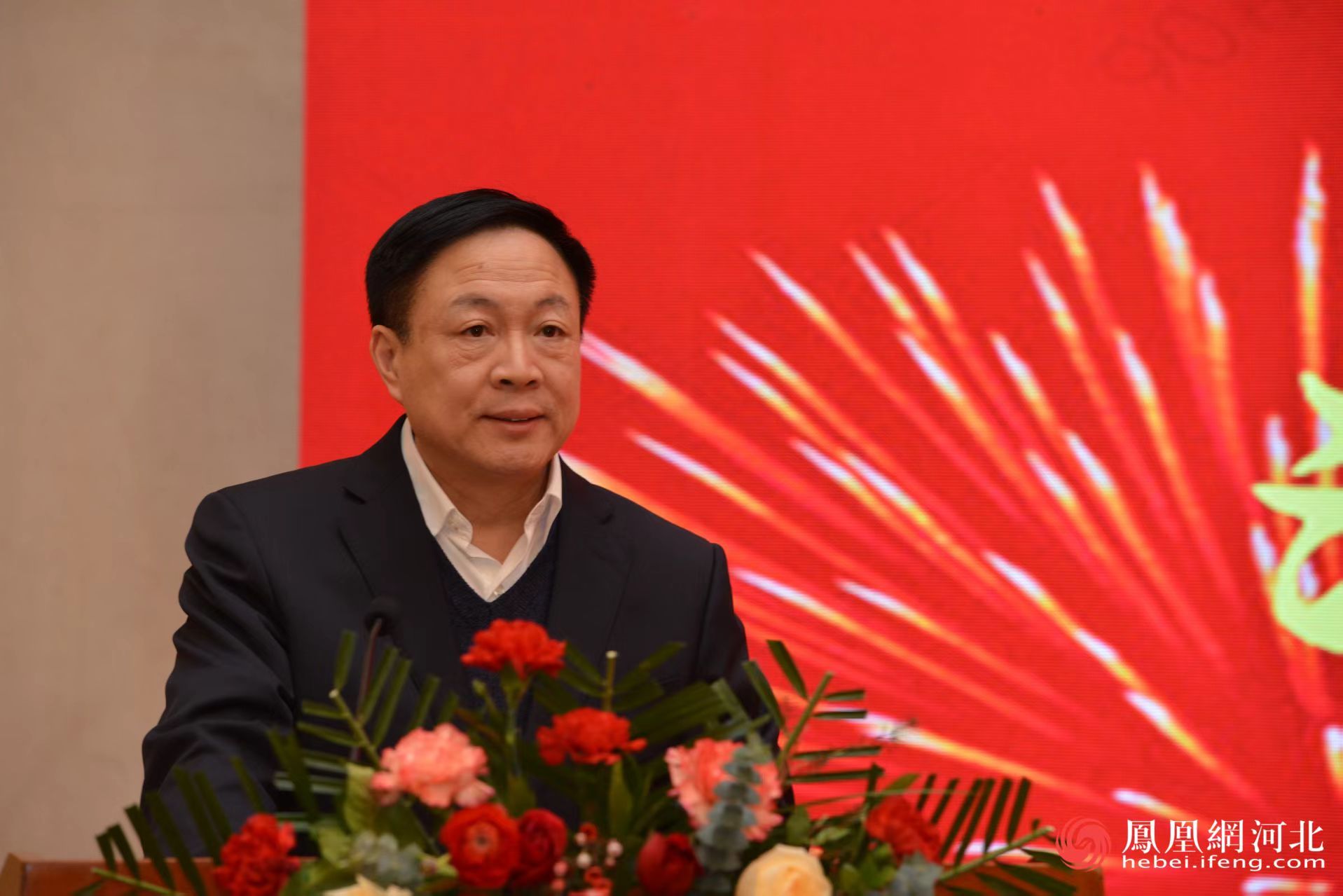 河北省卫生健康委一级巡视员段云波致辞