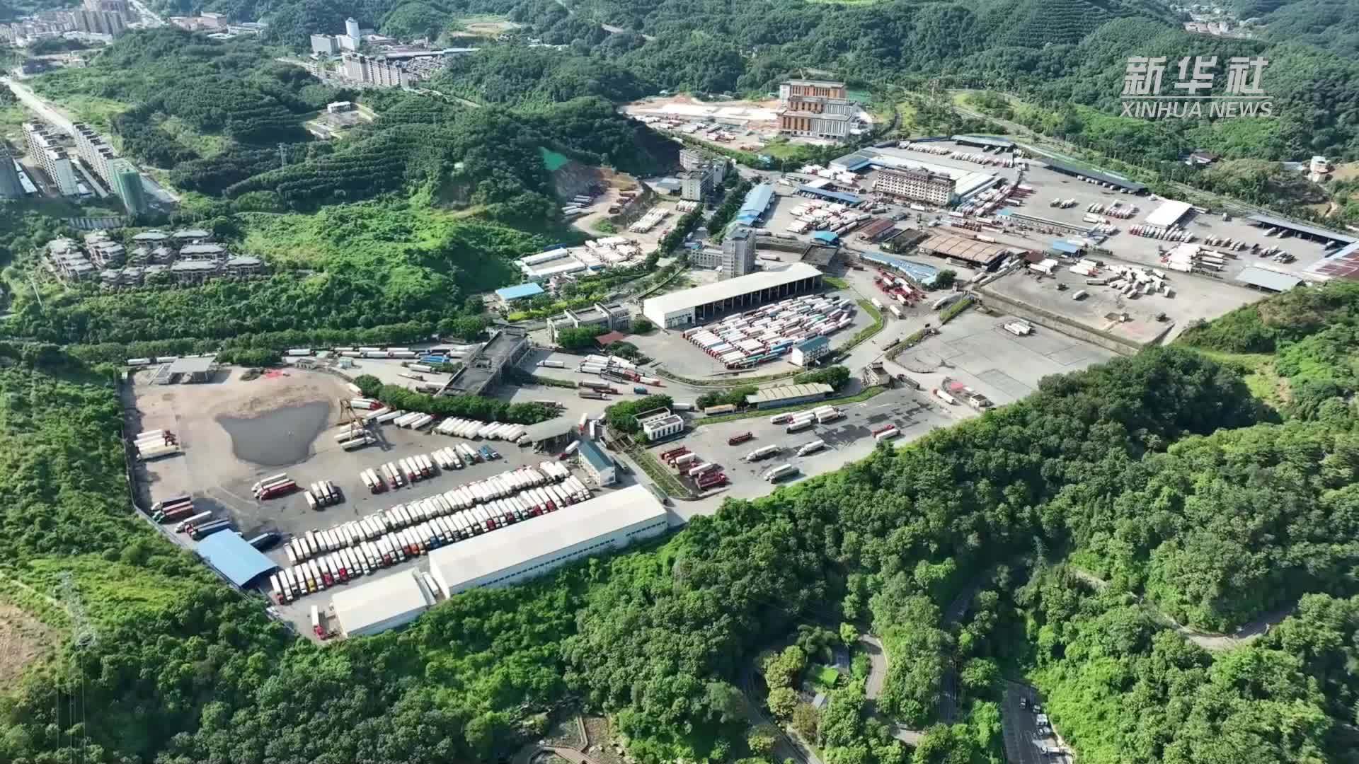 2024年云南省中药材进口量、货值均居全国首位