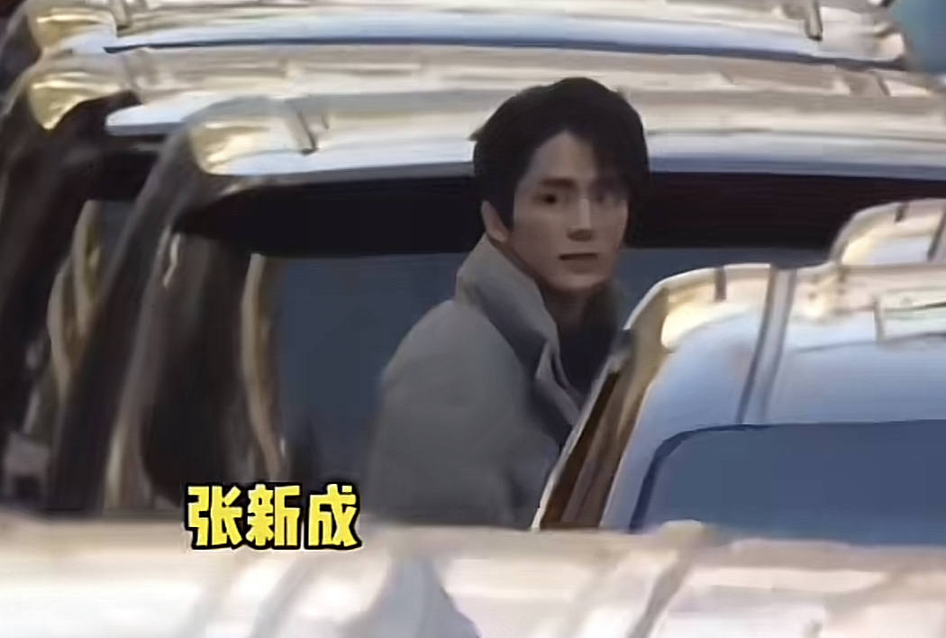 张新成