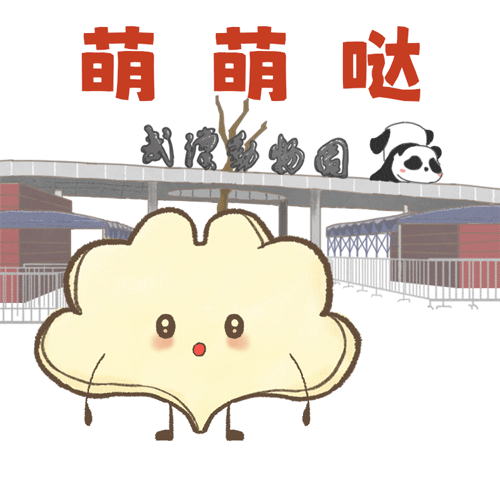 首发！顶流表情包带你玩转2025汉阳年