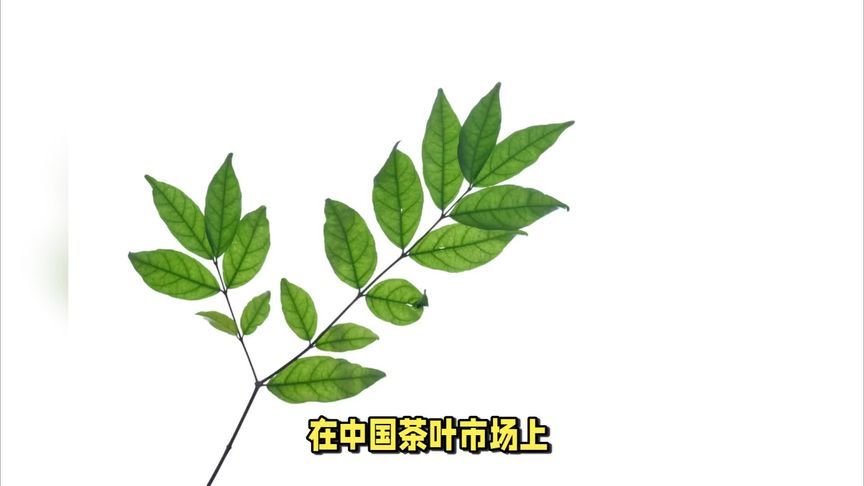 八马茶业冲刺港股上市？又要出上市公司了？