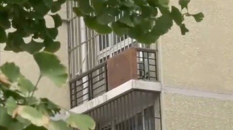 【41岁单身女子离世,遗产被叔姑舅姨争夺,法院:房产收归国家!】#女