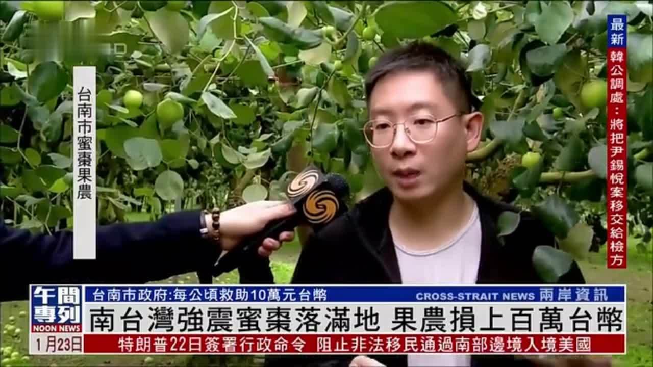 南台湾强震蜜枣落满地 果农损上百万台币