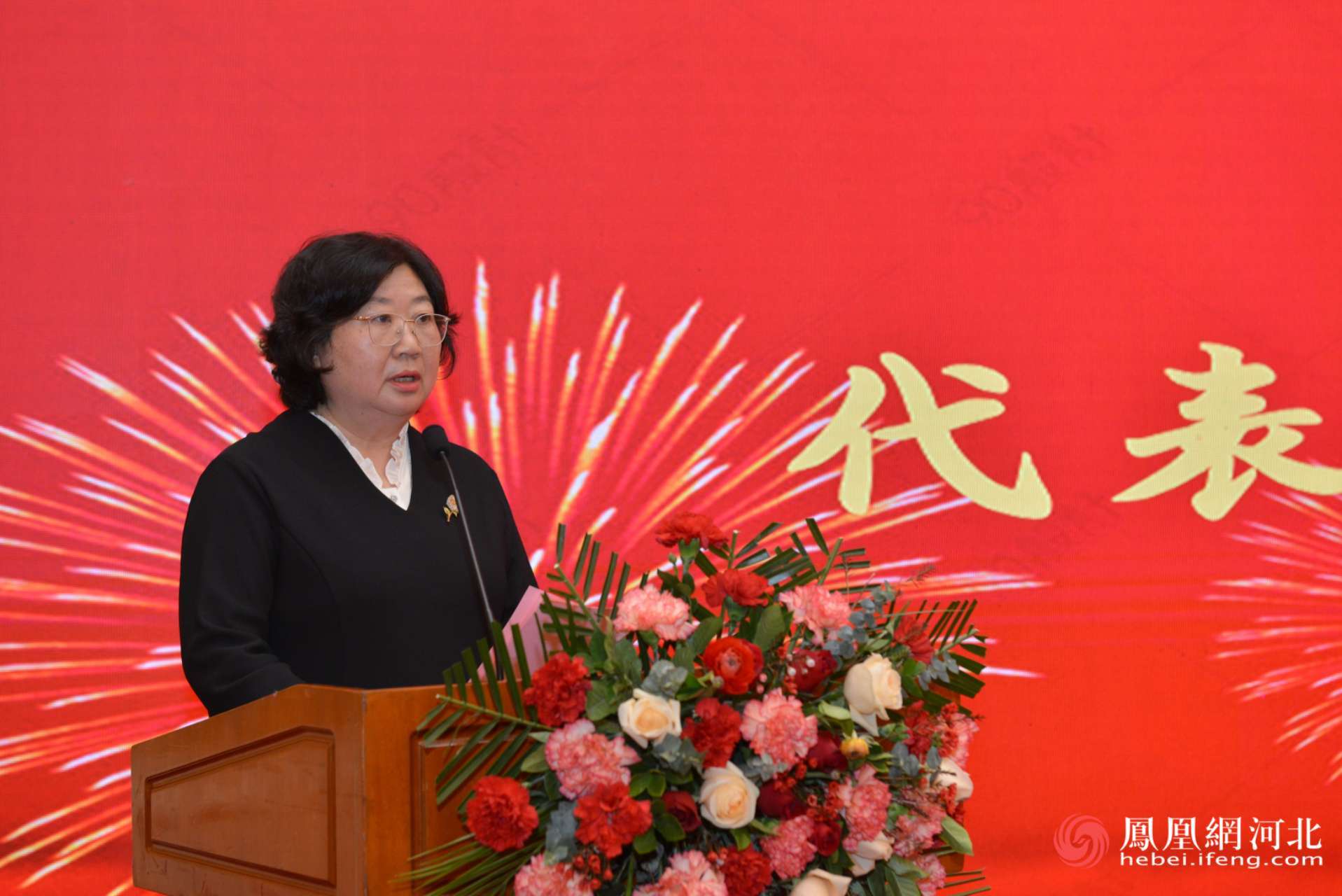 第三届理事会副会长赵红彦做工作报告