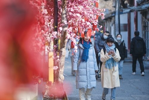 “泉”在济南过大年｜灯笼高高挂 泉城春节“气氛组”上线