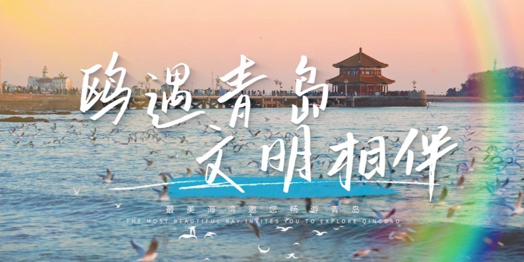 凤凰视频|鸥遇青岛、文明相伴