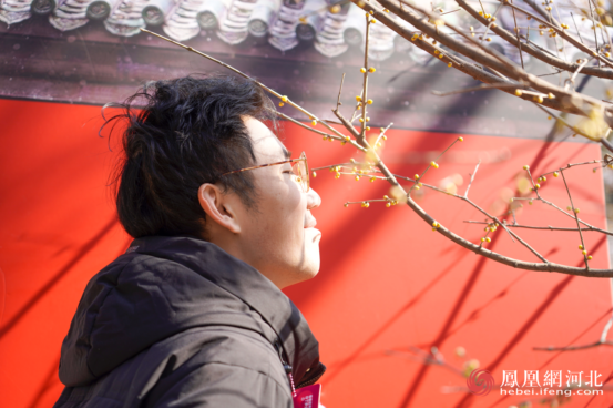 市民闻梅花的味道