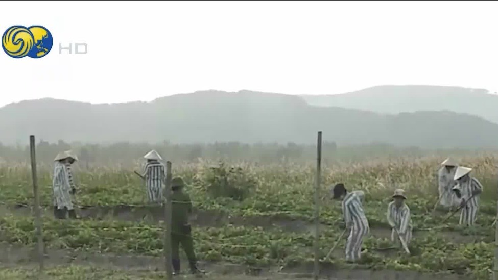 凤凰卫视记者走访关押中国囚犯的越南监狱：120人服刑，有人涉嫌贩毒