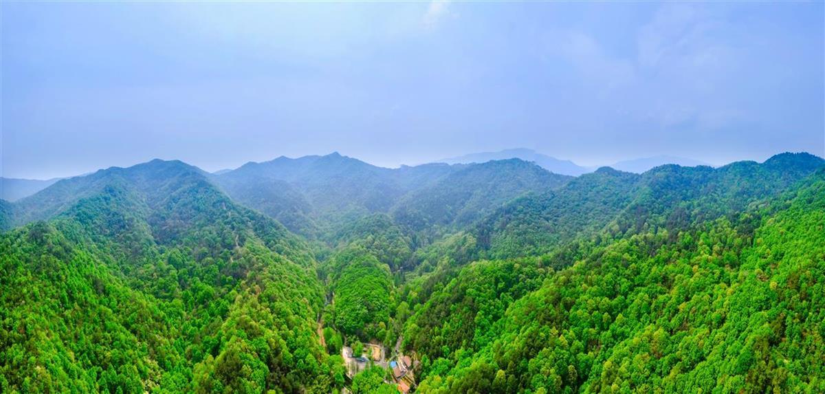 黄陂区素山寺森林公园（通讯员供图）