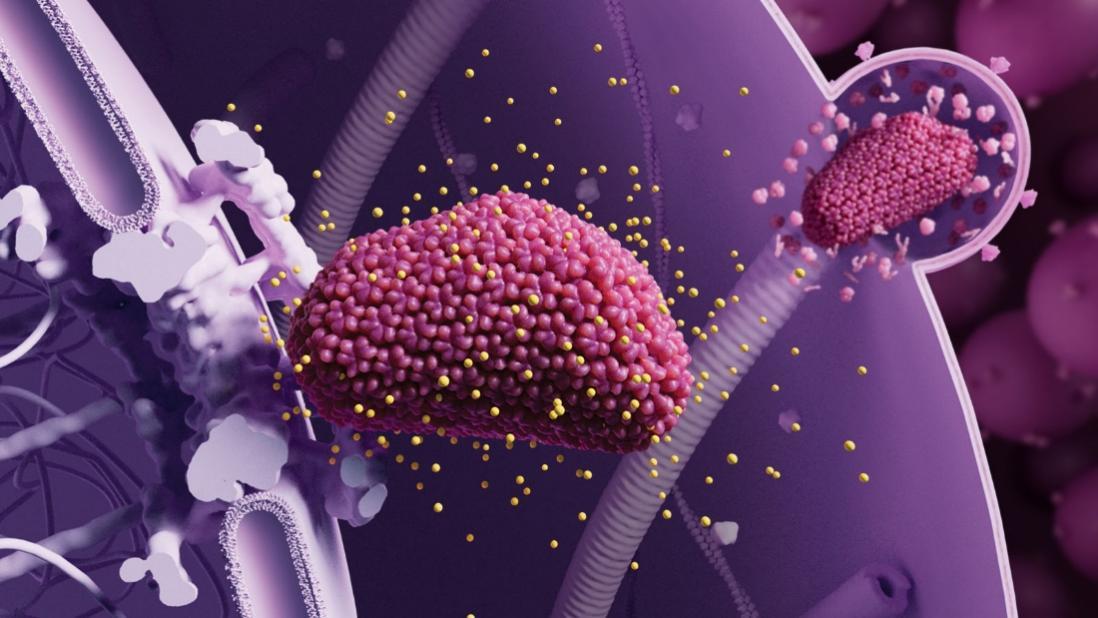 长效HIV预防针剂试验成功