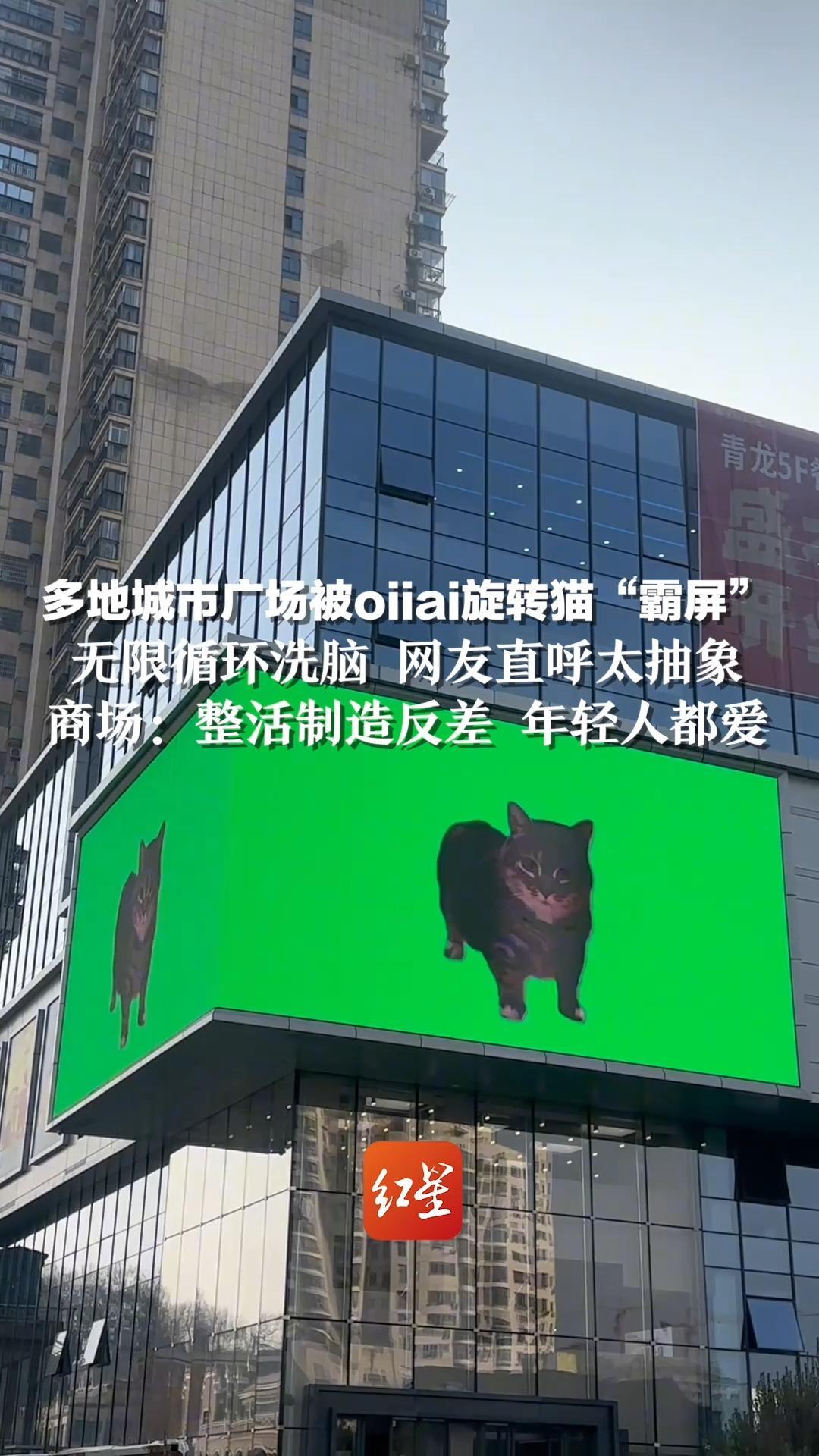 多地城市广场被oiiai旋转猫“霸屏”，无限循环洗脑 网友直呼太抽象，商场：官方整活制造反差 年轻人都爱
