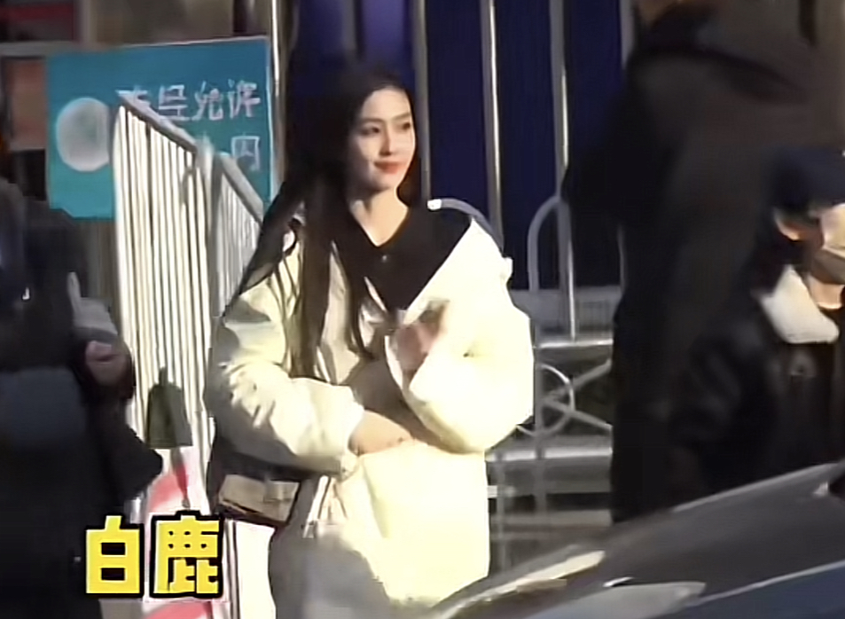 白鹿