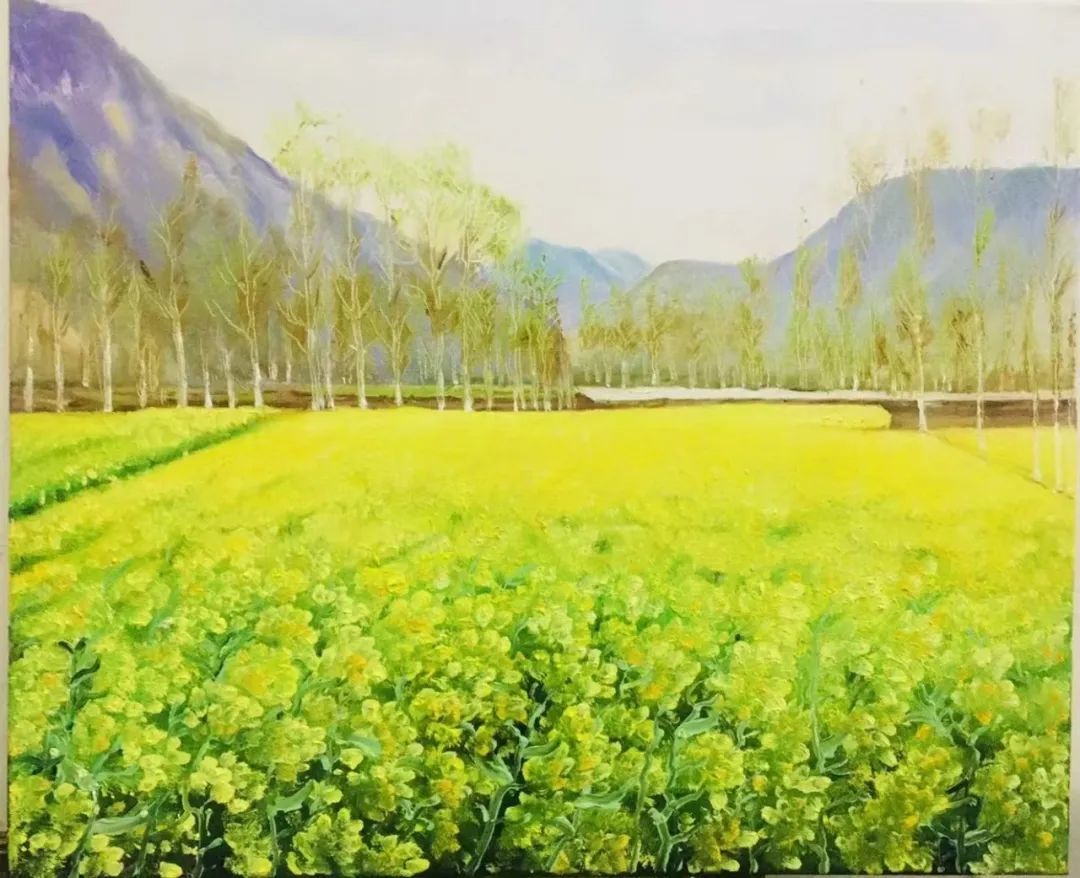 △马颖《春来万亩黄》