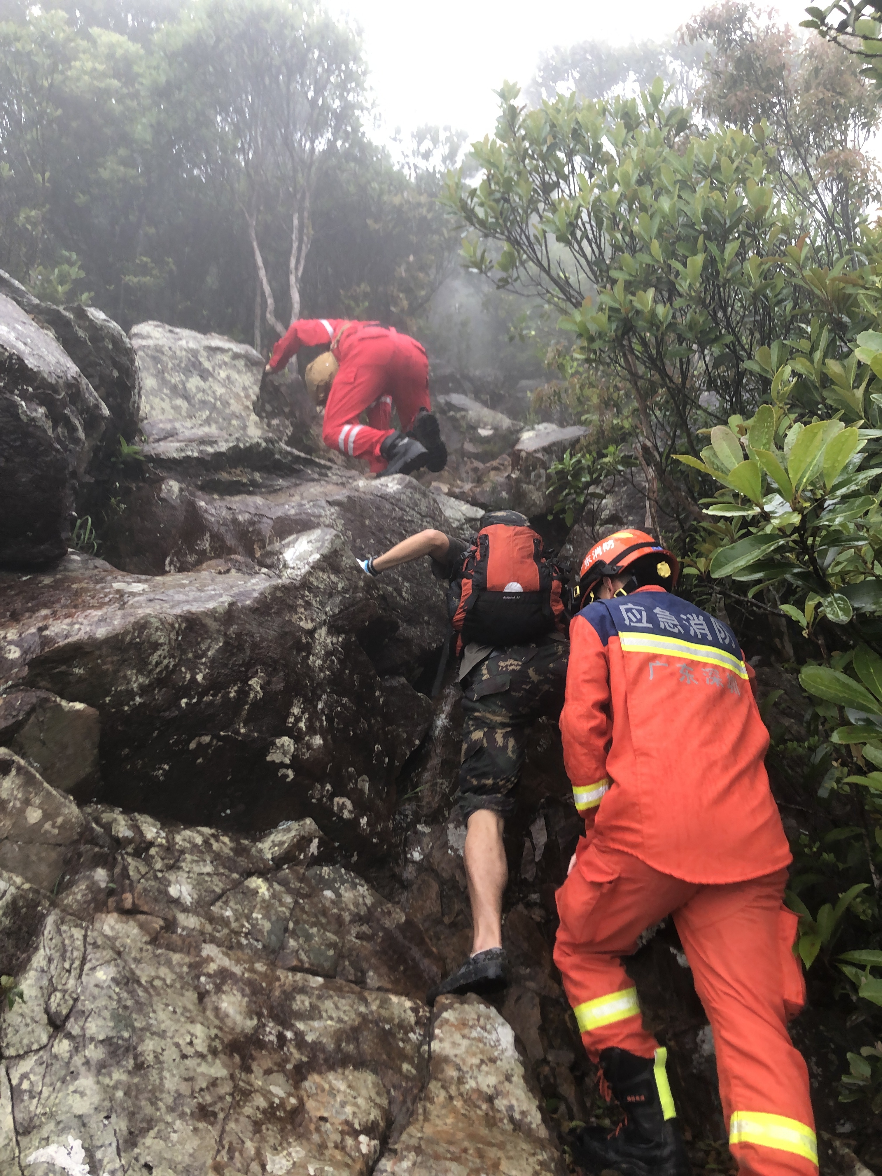 大鹏办事处森林消防中队荣膺 2024“深圳应急集体”称号