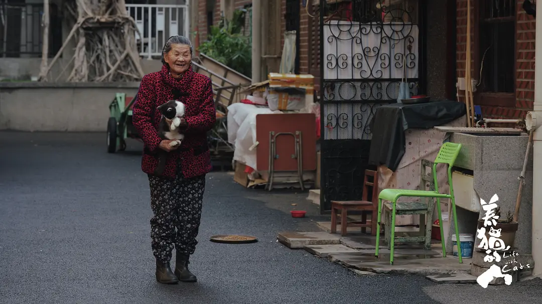 鼓浪屿“岛民”陈阿婆和猫