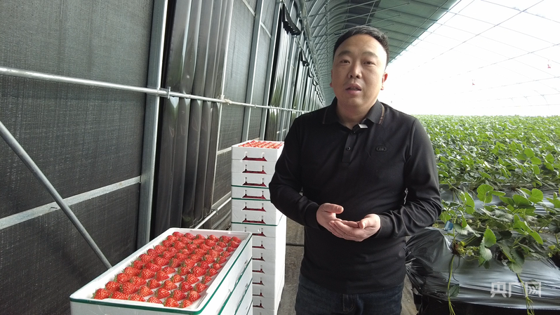 园区负责人王一男（央广网记者 刘雨晴 摄）