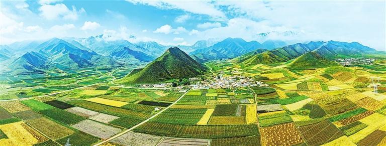 天祝县的丰收景象　新甘肃&middot;甘肃日报通讯员　赵世鹏
