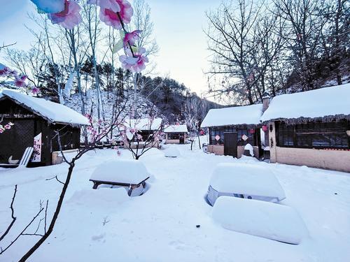 2024年12月9日,金山岭长城景区打造的冬季旅游项目——金山岭·长城雪乡。本报记者 陈宝云摄