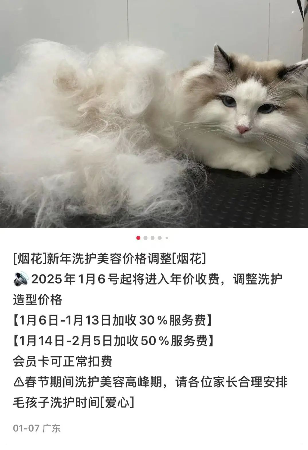 涨价30%，但是都约满了！商家表示太火爆，有人10多天能赚近万元