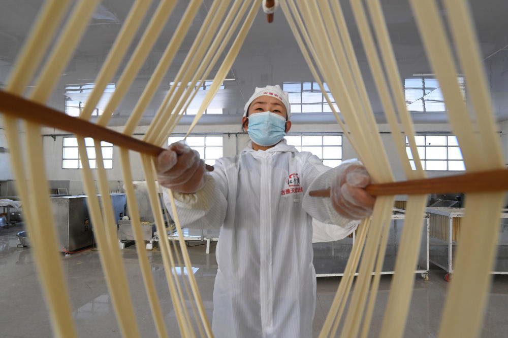 1月16日,在位于古浪县泗水镇的一家企业手工挂面生产车间,工人进行拉面操作。新华社记者 范培珅 摄
