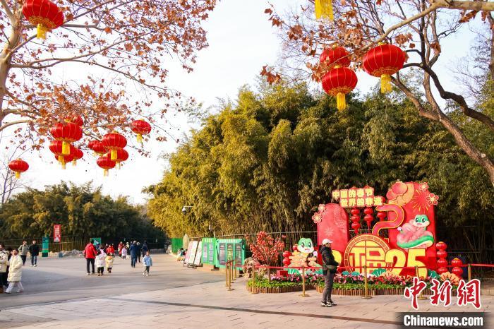 北京动物园蛇年春节景观。公园供图