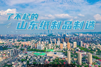 凤凰视频 | 了不起的山东纸制品制造