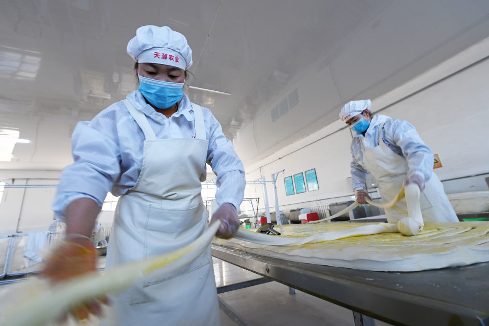 1月16日,在位于古浪县泗水镇的一家企业手工挂面生产车间,工人进行搓条操作。新华社记者 范培珅 摄