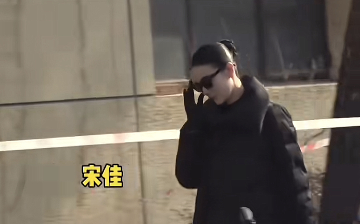 宋佳