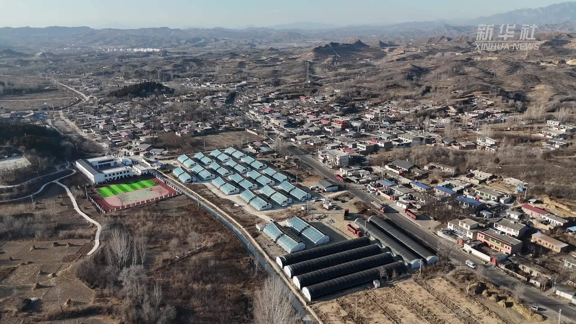 新春走基层·走进老区看振兴｜河北阜平：特色产业“多点开花”