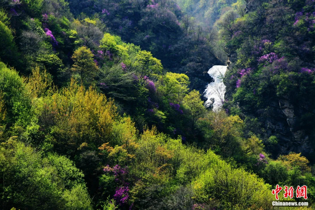 野三坡百草畔。田玉明 摄