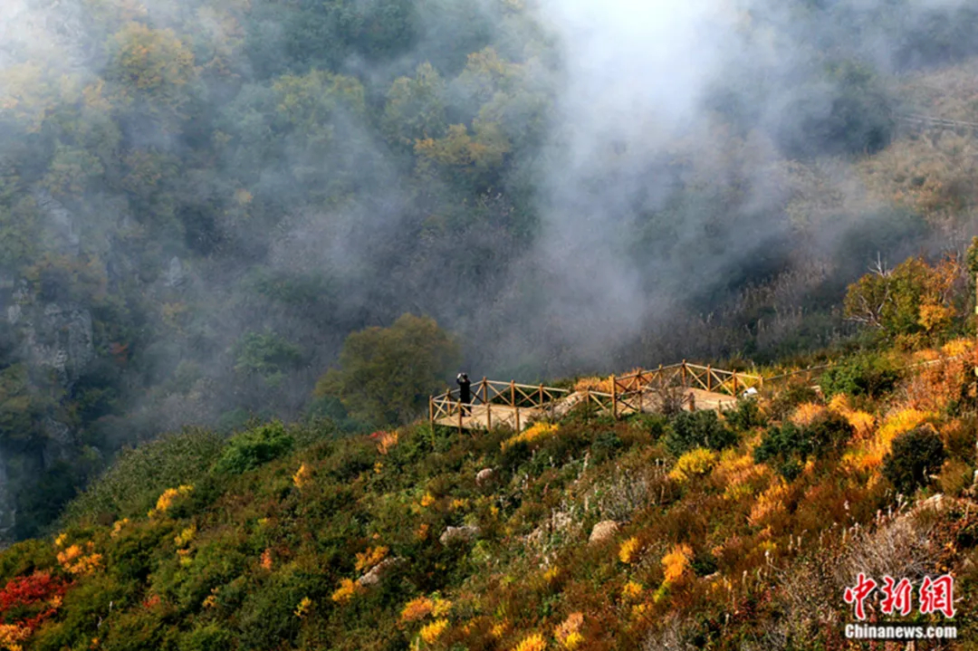 保定野三坡百草畔。保定文旅供图