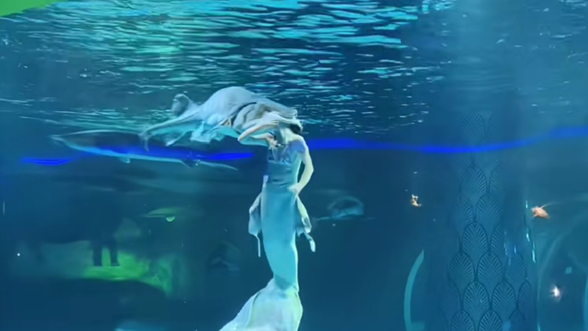 惊险一幕！云南一美人鱼表演者突遭鲟鱼咬头，景区回应：人没事，美人鱼表演暂停