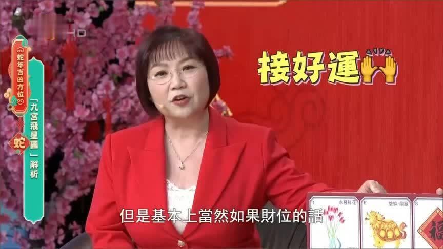 2025年如何旺财？麦玲玲：家里正南方的位置要摆放它