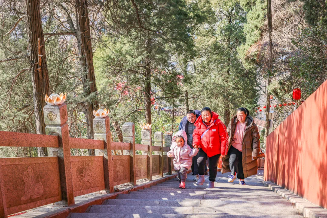 图为游客登孤山 盛义摄