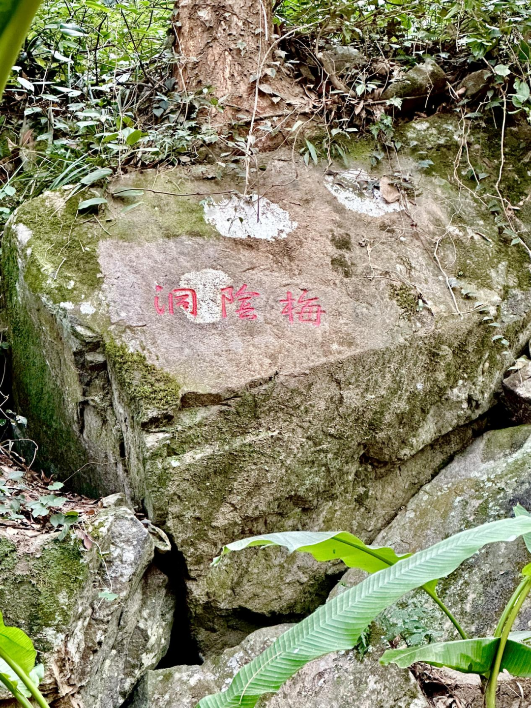 心诚石自平：石竹山狮子岩田野调查小记