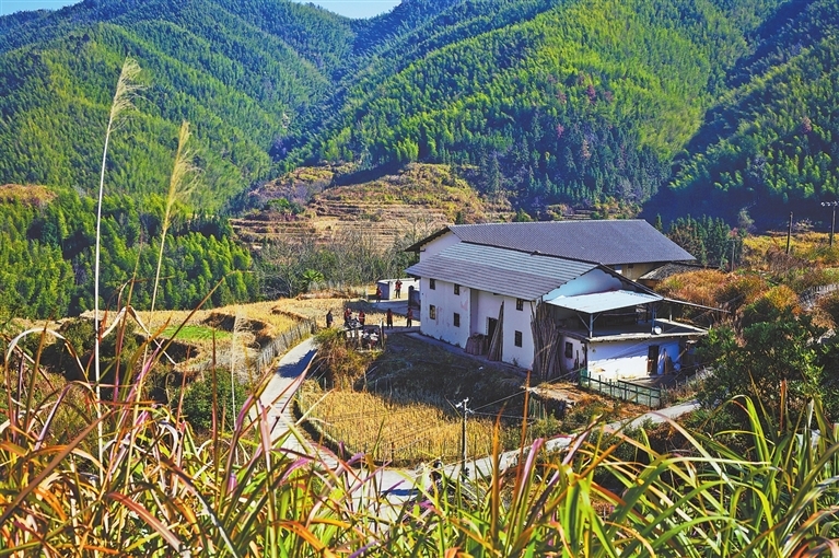 村里房屋正在改造。江西日报全媒体记者 付 强摄