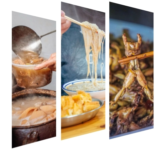 春节游蔡甸！四条线路等你打卡