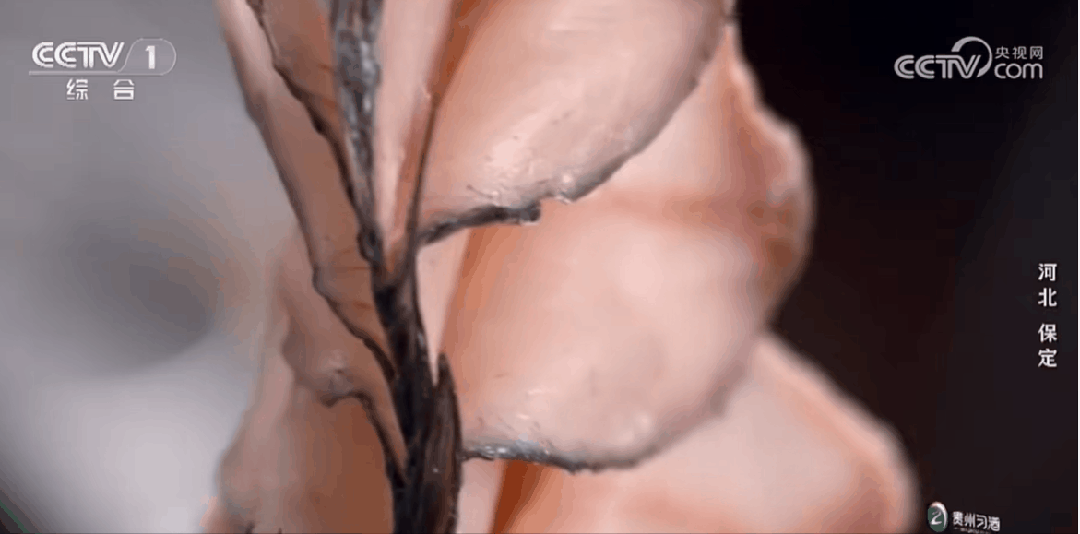 保定传统名菜“抓炒鱼”。来源央视视频