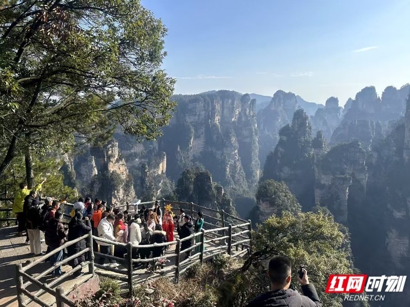 1月29日,游人在张家界国家森林公园游玩。