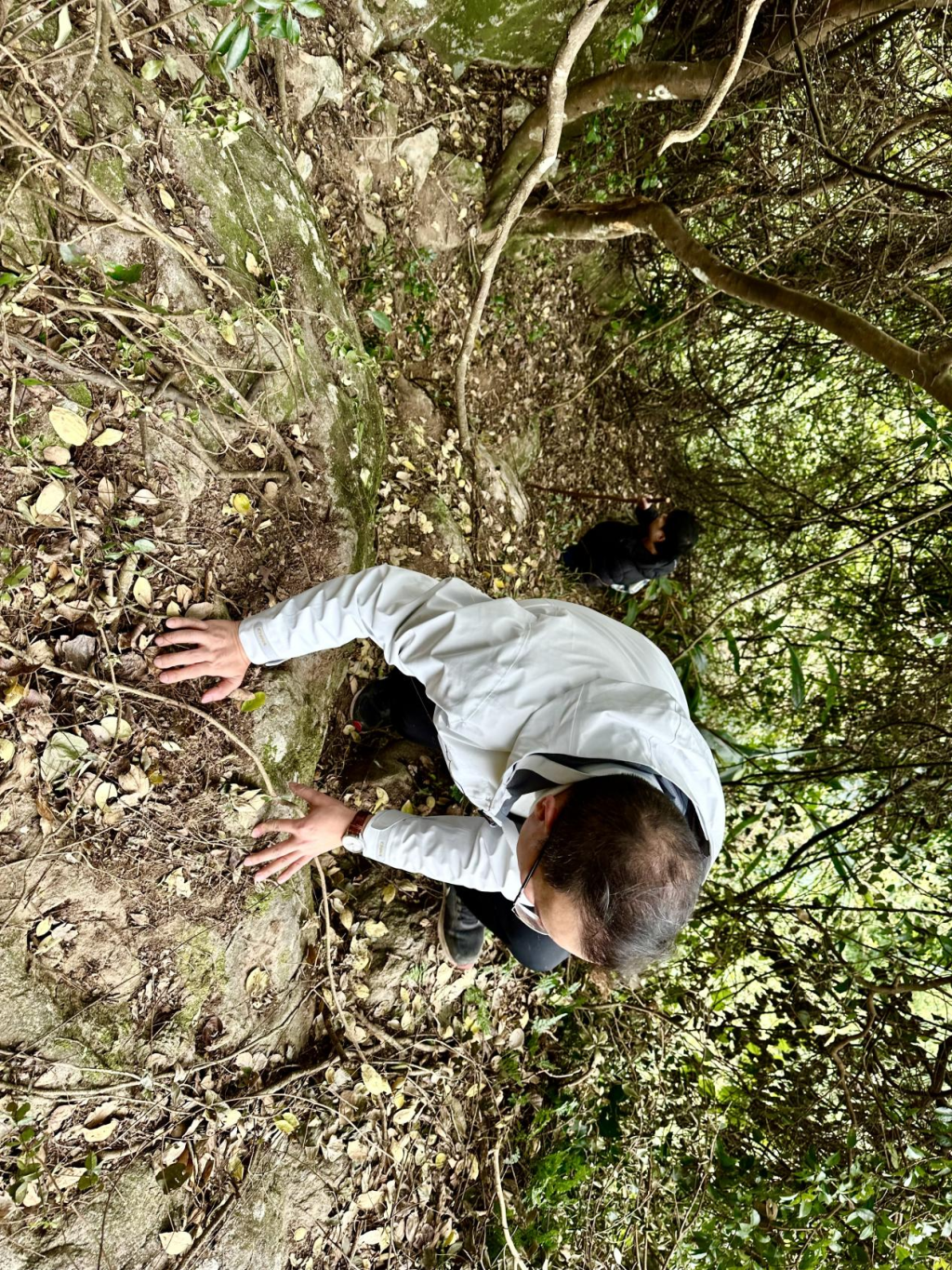 心诚石自平：石竹山狮子岩田野调查小记