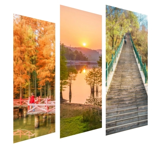 春节游蔡甸！四条线路等你打卡