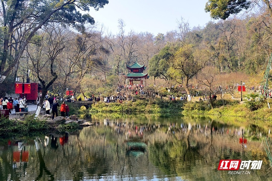 大年初一，岳麓山爱晚亭前，众多游客到此登高赏景。