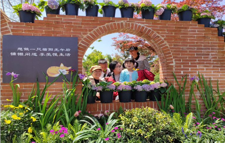 游客正在天工苗艺坊花卉市场观光购买盆栽。（奉新县委宣传部供图）