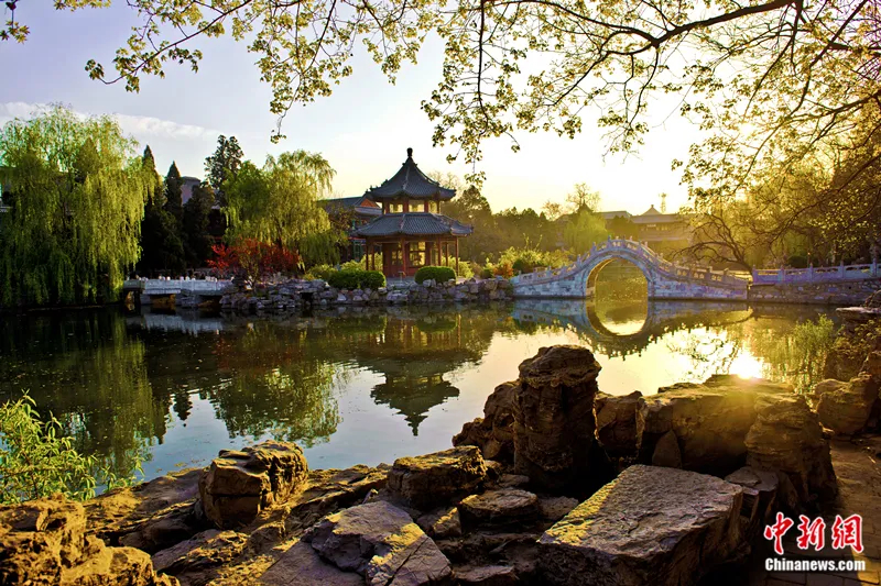 古莲花池一角。保定文旅供图