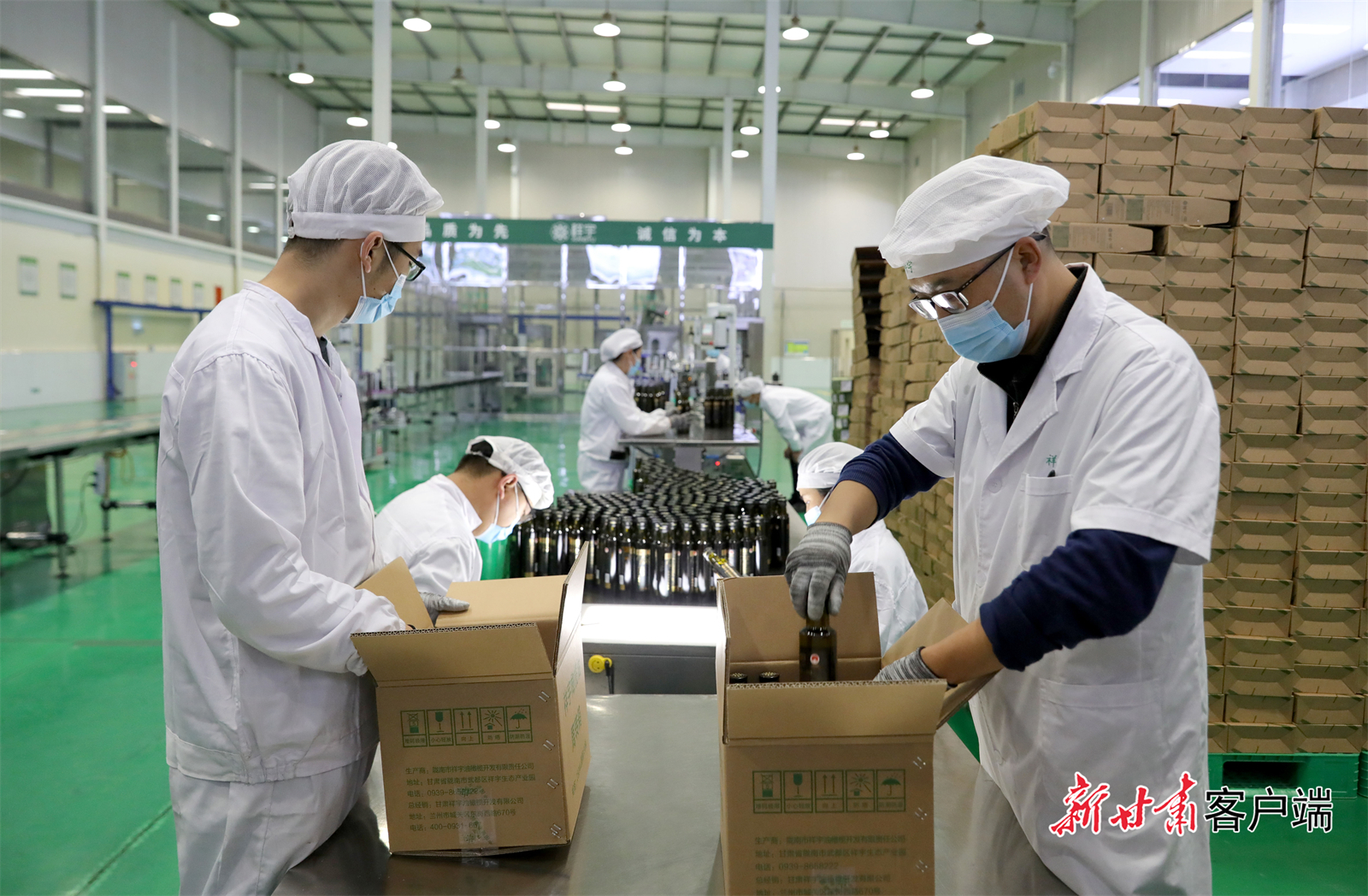 陇南橄榄油装箱准备发往全国（新甘肃&middot;甘肃日报通讯员　冉创昌　摄）