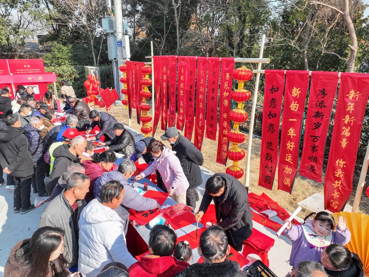 图为2025年靖江市文化科技卫生“三下乡”集中服务活动现场 盛义摄