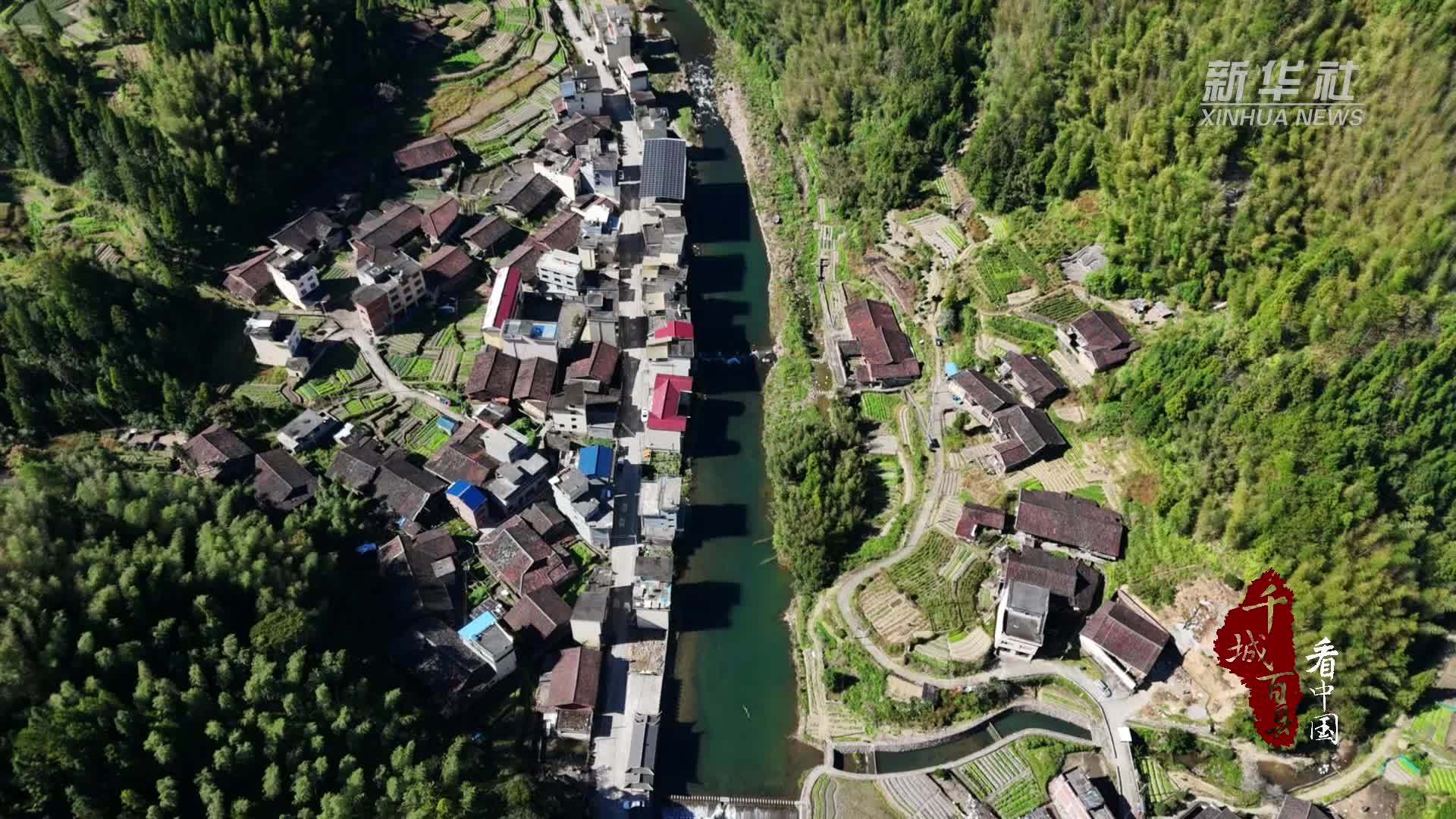 千城百县看中国｜福建寿宁：黄粿赶制年味足